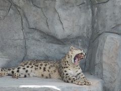 -青藏高原野生动物园