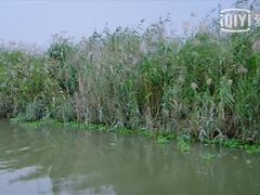 -九寸钉自助·炭火烤肉烧烤(欧乐时尚广场店)