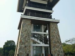 -大湾区中央湿地公园