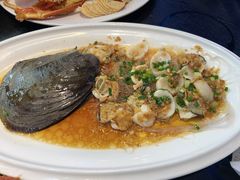 -驻海渔市(置信店)