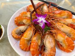 -光明乳鸽·凤凰客家酒楼(老店)