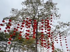 -晓港公园