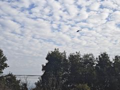 -玉苍山国家森林公园