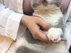 -lincat·猫舍(广州店)