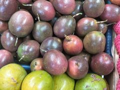 -鸿港海鲜批发市场