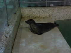 Photo-0205-绿色时代大酒店