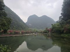 -靖西鹅泉风景区
