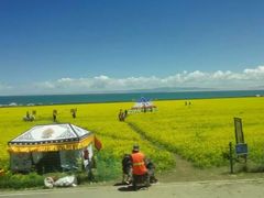 -青海湖国家重点风景名胜区