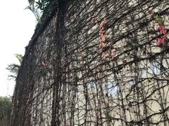 -河源万绿湖美思威尔顿酒店