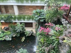 -白天鹅宾馆-宏图府餐厅