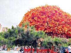 -沈阳方特欢乐世界