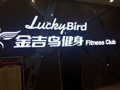 -金吉鸟健身游泳