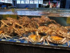 -老伙记海鲜码头(北滘店)
