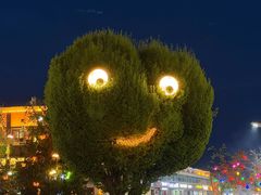 -特克斯八卦城