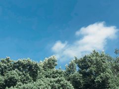 -火炉山森林公园