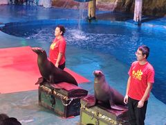 -烟台海昌鲸鲨海洋公园