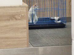 -蒌兰兰州牛肉面(龙湖上城店)