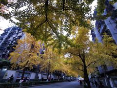 -四川大学(望江校区)