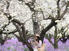 -江苏三台山国家森林公园