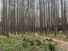 -日照灯塔风景区