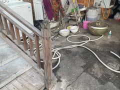 -高家大院烤全羊