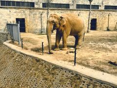 -石家庄市动物园