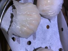 -糖朝(尖沙咀店)