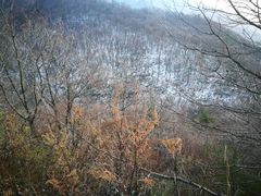 -秦岭风景区