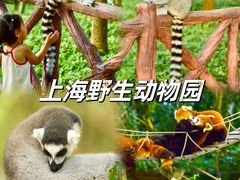 -上海野生动物园