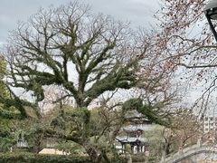 -台州府城(东湖)