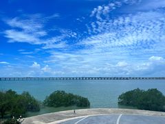 -宝安西湾红树林湿地公园