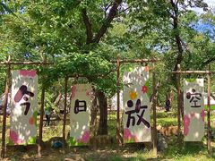 -沂蒙山旅游区龟蒙景区