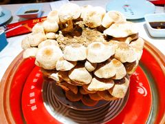 活体松香菇-捞神汤物料理(正大广场店)