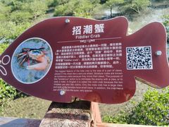 -北海金海湾红树林生态旅游区