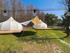 -上海海湾国家森林公园