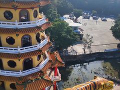 -龙虎塔
