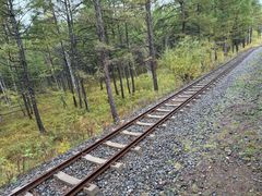 -莫尔道嘎国家森林公园