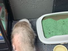 -零纪元VR体验馆·桌游(黄浦店)