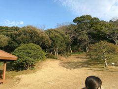 -汉拿树木园