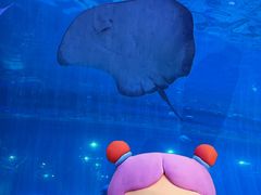 -华夏文旅西安度假区