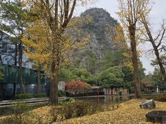 -Club Med地中海俱乐部·桂林度假村