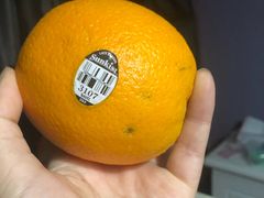 -叶氏兄弟果业(文二西路店)