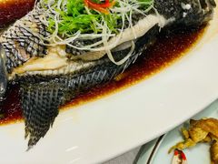 -宝燕海货工场(长江国际店)
