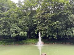 -大奇山国家森林公园