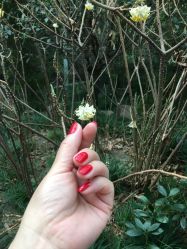 -慕拉美甲美睫皮肤管理