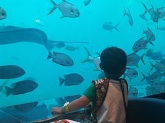 -瑞德姆美人鱼海底演艺主题餐厅(亚龙湾店)