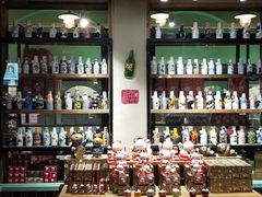 -猫咪博物馆(顶澳仔猫街店)