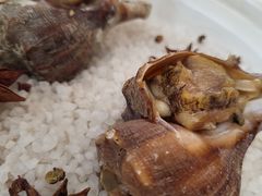 鹽焗海螺-火璽·園