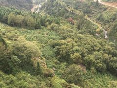 -磐安舞龙峡景区