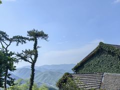 -莫干山风景区
